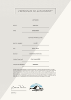 Evolution — Certificate of Authenticity